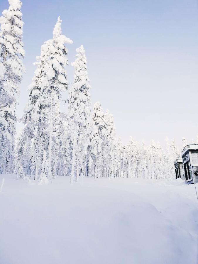 Levi Sky Igloo With Private Sauna And Hot Tub Exterior foto